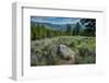 Yellowstone River Picnic Area, Yellowstone National Park, Wyoming, USA-Roddy Scheer-Framed Photographic Print