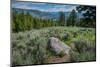 Yellowstone River Picnic Area, Yellowstone National Park, Wyoming, USA-Roddy Scheer-Mounted Photographic Print