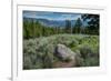 Yellowstone River Picnic Area, Yellowstone National Park, Wyoming, USA-Roddy Scheer-Framed Photographic Print