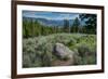 Yellowstone River Picnic Area, Yellowstone National Park, Wyoming, USA-Roddy Scheer-Framed Photographic Print