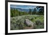 Yellowstone River Picnic Area, Yellowstone National Park, Wyoming, USA-Roddy Scheer-Framed Photographic Print