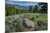 Yellowstone River Picnic Area, Yellowstone National Park, Wyoming, USA-Roddy Scheer-Mounted Photographic Print