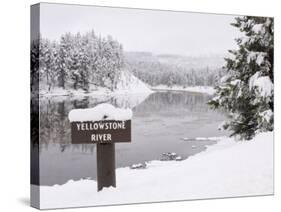 Yellowstone River, Yellowstone National Park, UNESCO World Heritage Site, Wyoming, USA-Pitamitz Sergio-Stretched Canvas