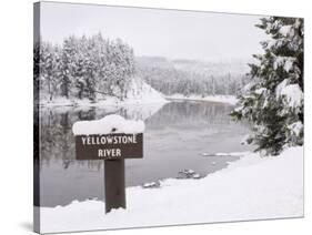 Yellowstone River, Yellowstone National Park, UNESCO World Heritage Site, Wyoming, USA-Pitamitz Sergio-Stretched Canvas