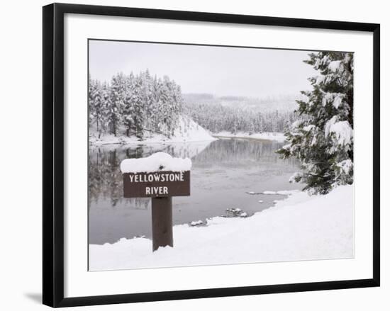 Yellowstone River, Yellowstone National Park, UNESCO World Heritage Site, Wyoming, USA-Pitamitz Sergio-Framed Photographic Print