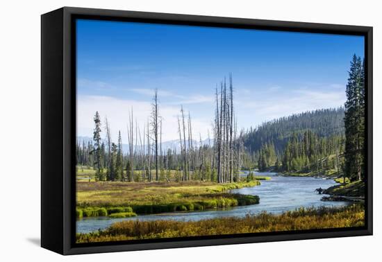 Yellowstone River, Yellowstone National Park, Wyoming, Usa-John Warburton-lee-Framed Stretched Canvas