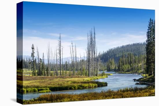 Yellowstone River, Yellowstone National Park, Wyoming, Usa-John Warburton-lee-Stretched Canvas