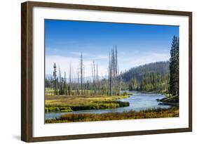 Yellowstone River, Yellowstone National Park, Wyoming, Usa-John Warburton-lee-Framed Photographic Print