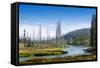 Yellowstone River, Yellowstone National Park, Wyoming, Usa-John Warburton-lee-Framed Stretched Canvas