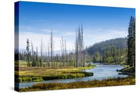 Yellowstone River, Yellowstone National Park, Wyoming, Usa-John Warburton-lee-Stretched Canvas
