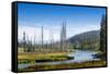 Yellowstone River, Yellowstone National Park, Wyoming, Usa-John Warburton-lee-Framed Stretched Canvas