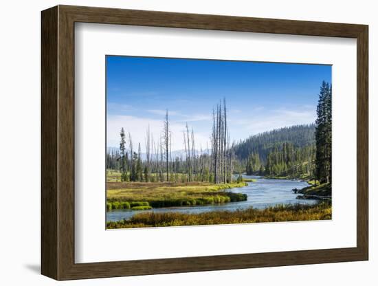 Yellowstone River, Yellowstone National Park, Wyoming, Usa-John Warburton-lee-Framed Photographic Print