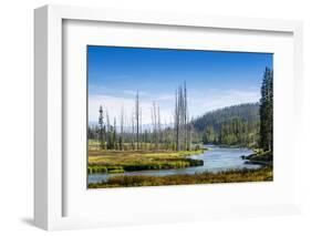 Yellowstone River, Yellowstone National Park, Wyoming, Usa-John Warburton-lee-Framed Photographic Print