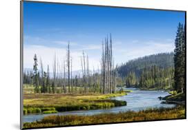 Yellowstone River, Yellowstone National Park, Wyoming, Usa-John Warburton-lee-Mounted Photographic Print