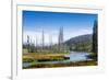 Yellowstone River, Yellowstone National Park, Wyoming, Usa-John Warburton-lee-Framed Photographic Print