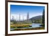 Yellowstone River, Yellowstone National Park, Wyoming, Usa-John Warburton-lee-Framed Photographic Print