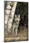 Yellowstone - Wolf in Forest - Lantern Press Photography (James T. Jones)-Lantern Press-Mounted Photographic Print