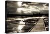 Yellowstone, Wyoming: a Wooden Path Going Through Norris Geyser Basin on a Cloudy Sunset-Brad Beck-Stretched Canvas