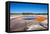 Yellowstone-Anton Foltin-Framed Stretched Canvas