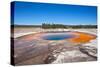 Yellowstone-Anton Foltin-Stretched Canvas