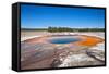 Yellowstone-Anton Foltin-Framed Stretched Canvas