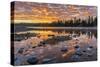 Yellowstone-Art Wolfe-Stretched Canvas