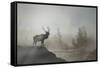 Yellowstone-Gordon Semmens-Framed Stretched Canvas