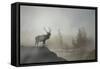 Yellowstone-Gordon Semmens-Framed Stretched Canvas