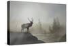 Yellowstone-Gordon Semmens-Stretched Canvas