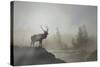 Yellowstone-Gordon Semmens-Stretched Canvas