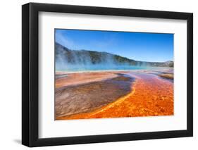 Yellowstone-Anton Foltin-Framed Photographic Print