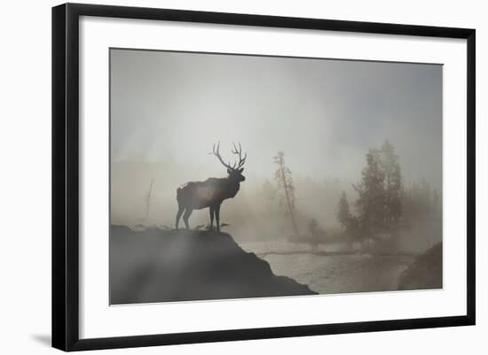 Yellowstone-Gordon Semmens-Framed Photographic Print