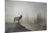 Yellowstone-Gordon Semmens-Mounted Photographic Print