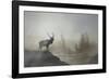 Yellowstone-Gordon Semmens-Framed Photographic Print