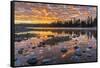 Yellowstone-Art Wolfe-Framed Stretched Canvas