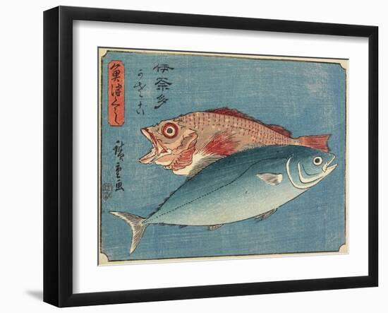 Yellowtail and Rockfish, 1830-1844-Utagawa Hiroshige-Framed Giclee Print