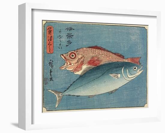 Yellowtail and Rockfish, 1830-1844-Utagawa Hiroshige-Framed Giclee Print