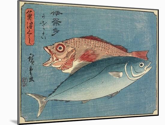 Yellowtail and Rockfish, 1830-1844-Utagawa Hiroshige-Mounted Giclee Print