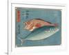 Yellowtail and Rockfish, 1830-1844-Utagawa Hiroshige-Framed Giclee Print