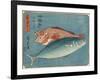 Yellowtail and Rockfish, 1830-1844-Utagawa Hiroshige-Framed Giclee Print