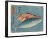 Yellowtail and Rockfish, 1830-1844-Utagawa Hiroshige-Framed Giclee Print