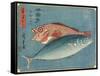 Yellowtail and Rockfish, 1830-1844-Utagawa Hiroshige-Framed Stretched Canvas