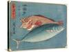 Yellowtail and Rockfish, 1830-1844-Utagawa Hiroshige-Stretched Canvas