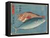 Yellowtail and Rockfish, 1830-1844-Utagawa Hiroshige-Framed Stretched Canvas