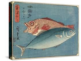 Yellowtail and Rockfish, 1830-1844-Utagawa Hiroshige-Stretched Canvas