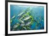 Yellowtail Grunt, Galapagos Islands, Ecuador-Pete Oxford-Framed Photographic Print