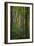 Yellowwood State Forest, Indiana, USA-Anna Miller-Framed Photographic Print