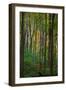 Yellowwood State Forest, Indiana, USA-Anna Miller-Framed Photographic Print