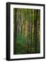 Yellowwood State Forest, Indiana, USA-Anna Miller-Framed Photographic Print