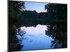 Yellowwood State Forest, Indiana, USA-Anna Miller-Mounted Photographic Print